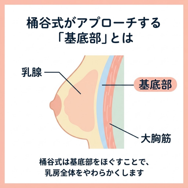 桶谷式がアプローチする基底部とは