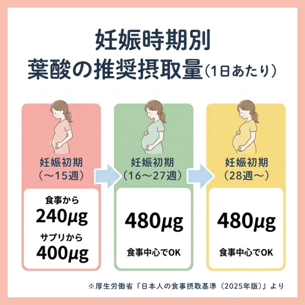 妊娠中にとるべき葉酸の目安量