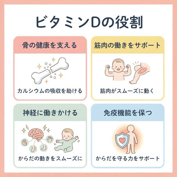 ビタミンDの役割
