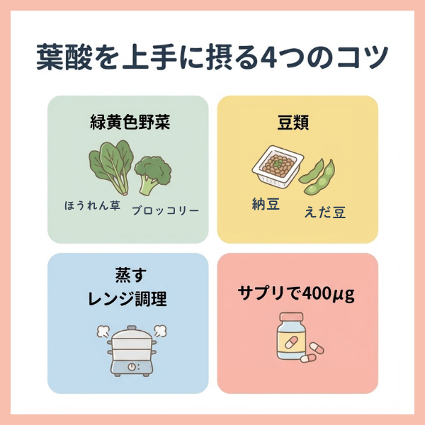葉酸を効果的に摂取するポイント
